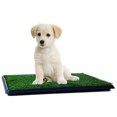 Best Artificial Grass for Dogs | Benefits, How to Clean and FAQ