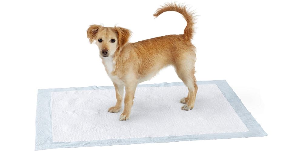 Disposable Water Absorption Indoor Urine Hygienic Mat Puppy Pet