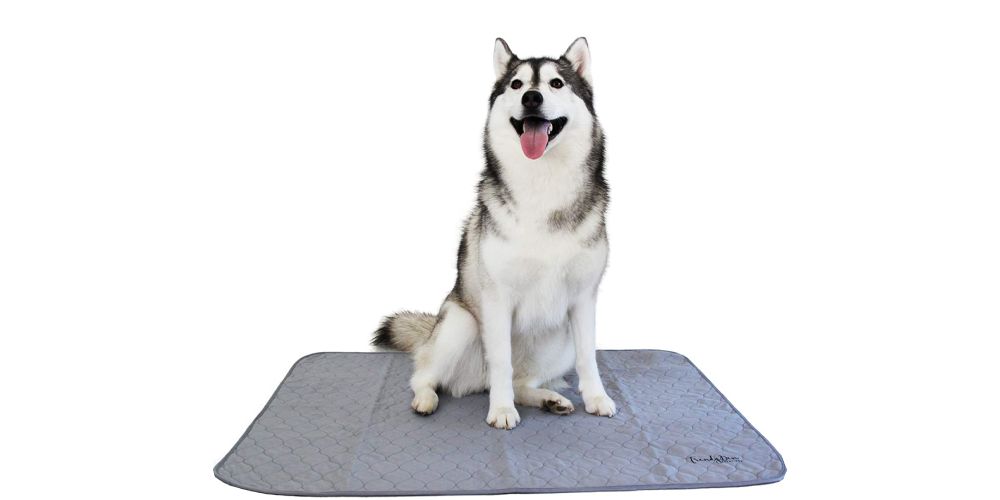 Dog Pee Pad Blanket Washable Dog Toilet Mat Reusable Training Pad Urine  Absorbent Diaper Mat Car