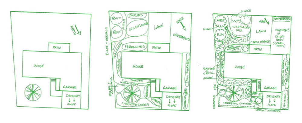 Xeriscape Yard Plans